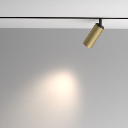 Maytoni TR097-2-12W4K-M-BMG