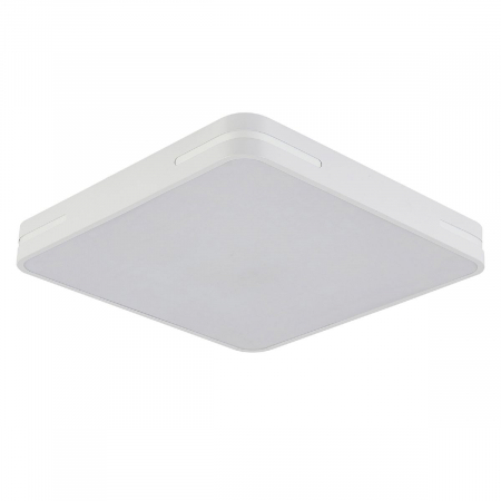 Natali Kovaltseva LED LAMPS 81331