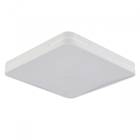 Natali Kovaltseva LED LAMPS 81333