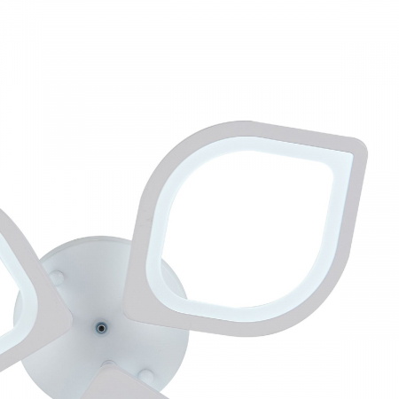 Natali Kovaltseva LED LAMPS 81404