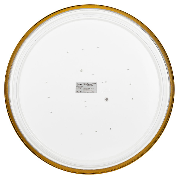 Потолочный светильник Эра Relict 48 Pult SPB-6-60-RC MG Б0059498