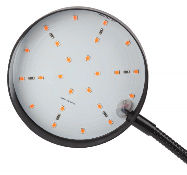 Настольная лампа Эра FITO-20W-АLED-R Б0053290