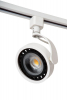 Lucide 09954/01/31