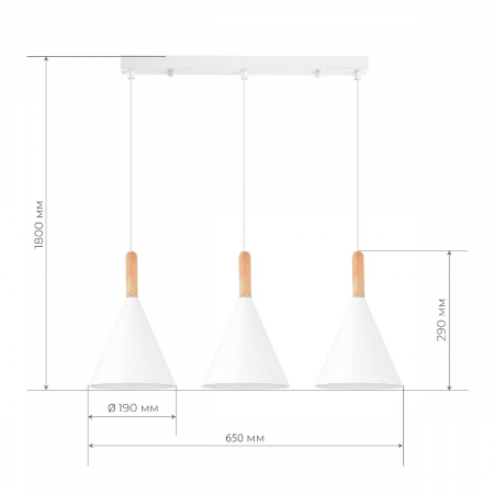 Evoluce SLE1255-503-03