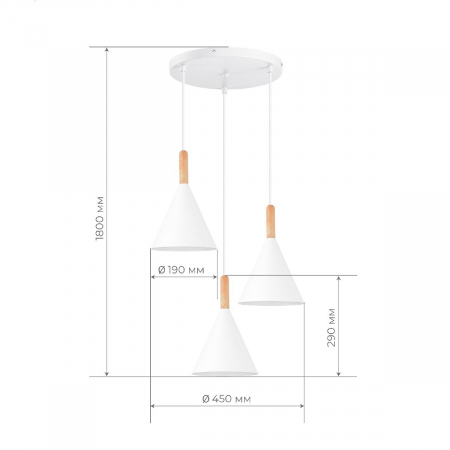 Evoluce SLE1255-513-03