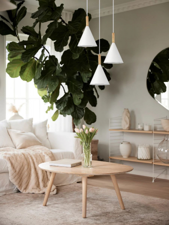 Evoluce SLE1255-513-03