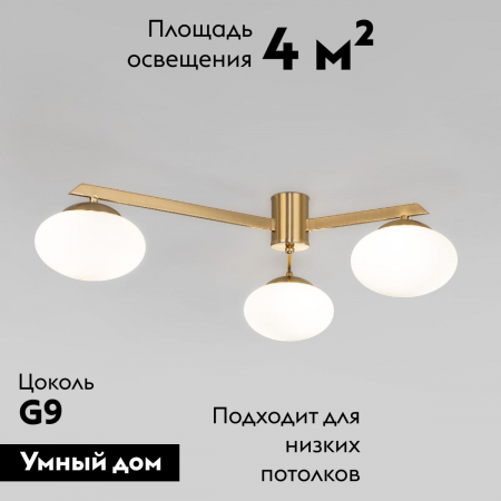 Eurosvet 70220/3 латунь