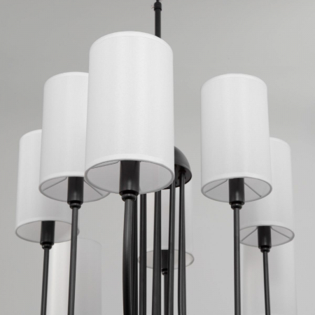 Eurosvet 60164/10 черный Smart