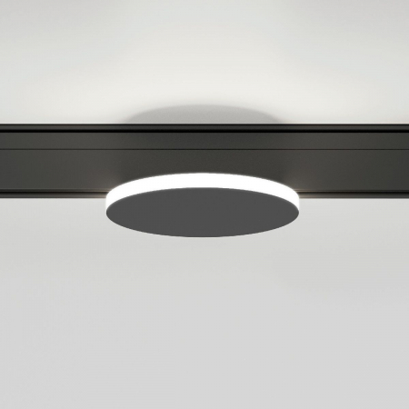 Elektrostandard 4690389203985