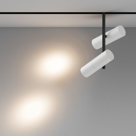 Maytoni TR005-2-2X12W3K-BW