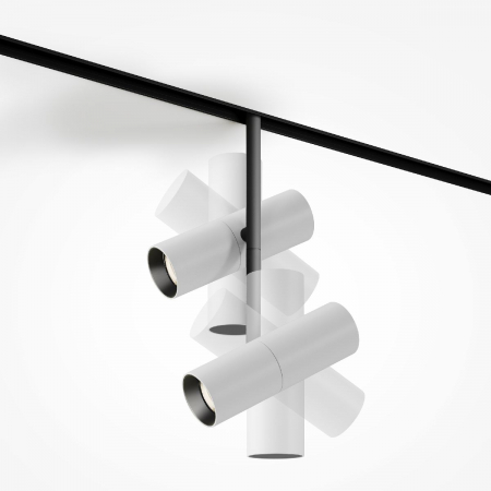 Maytoni TR005-2-2X12W3K-BW