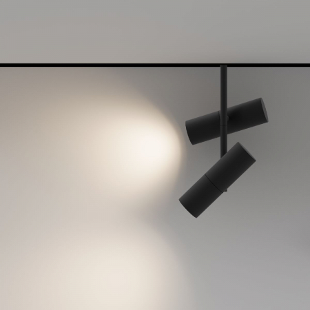 Maytoni TR005-2-2X12W3K-B