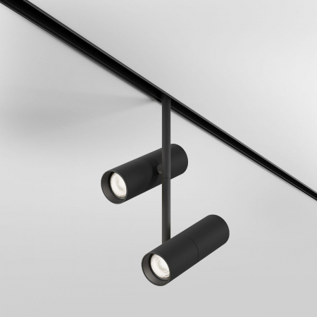 Maytoni TR005-2-2X12W4K-B