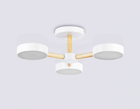 Ambrella Light FL4821