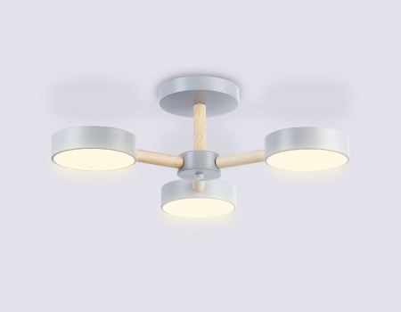Ambrella Light FL4822