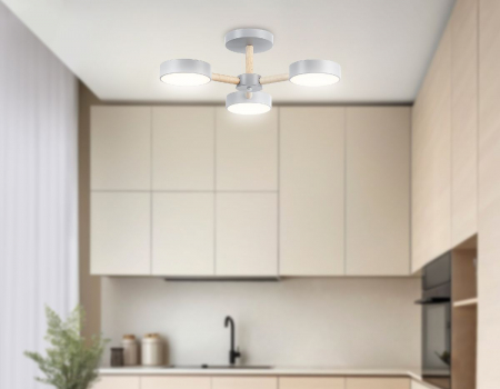 Ambrella Light FL4822