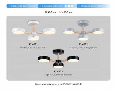 Ambrella Light FL4822