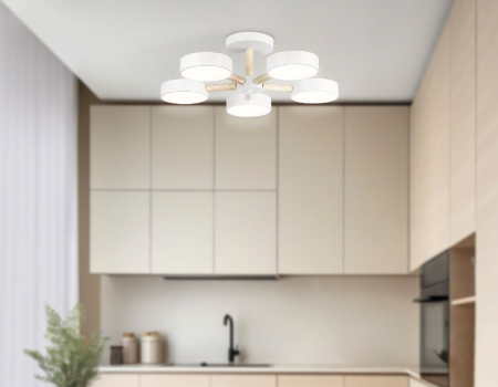 Ambrella Light FL4825