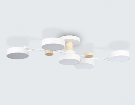 Ambrella Light FL4834