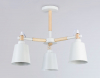 Ambrella Light TR82204