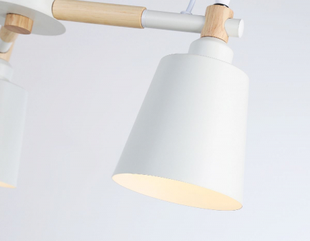 Ambrella Light TR82204