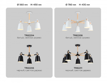 Ambrella Light TR82206