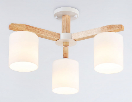 Ambrella Light TR83112