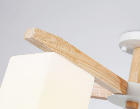 Ambrella Light TR83118