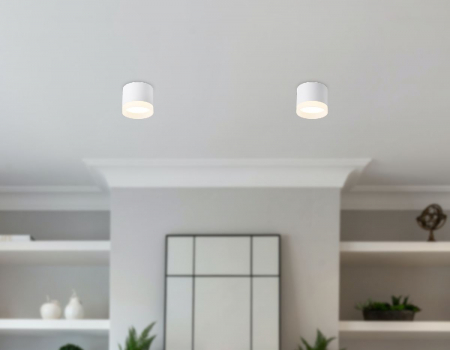 Ambrella Light TN5365