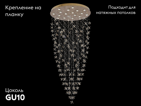 Newport 8020/1000 gold