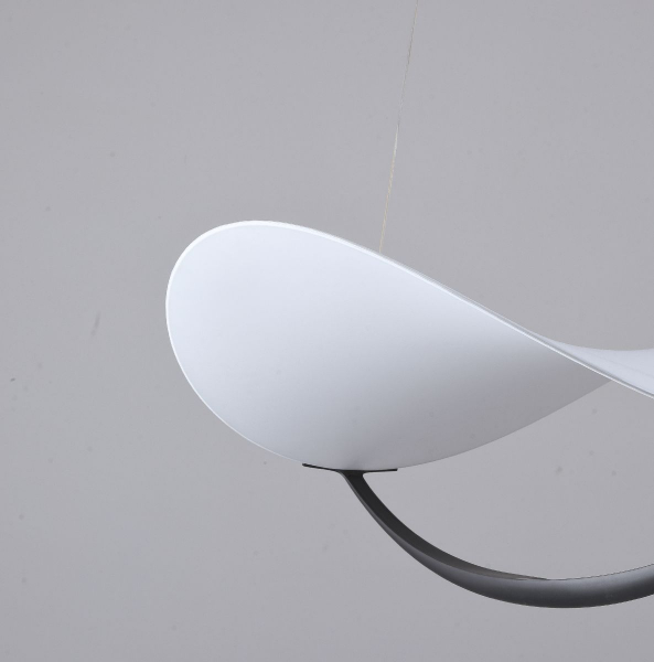 Подвесной светильник Zortes Quincy ZRS.1585.13