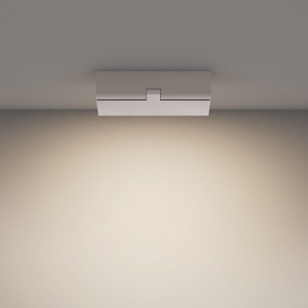 Maytoni C133CL-12W4K-W