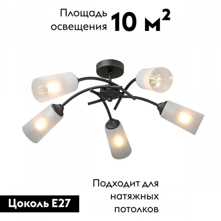 Vitaluce V2850-1/5PL