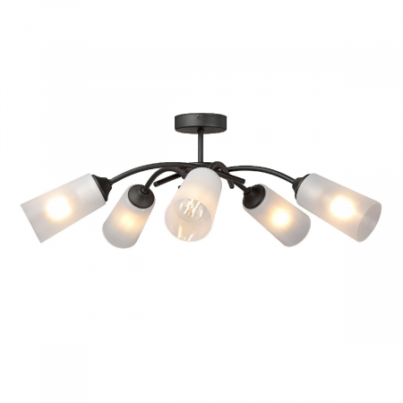 Vitaluce V2850-1/5PL