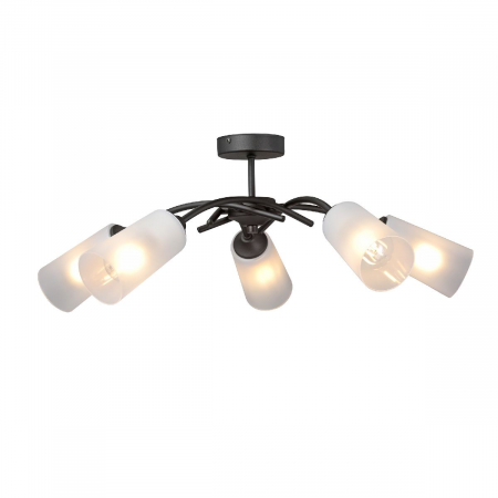 Vitaluce V2850-1/5PL