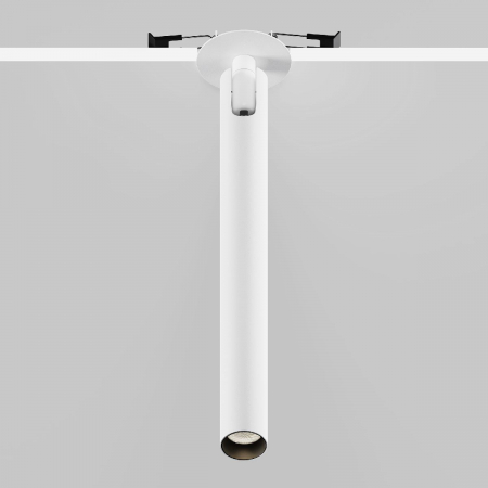 Maytoni C141RS-L300-6W3K-W