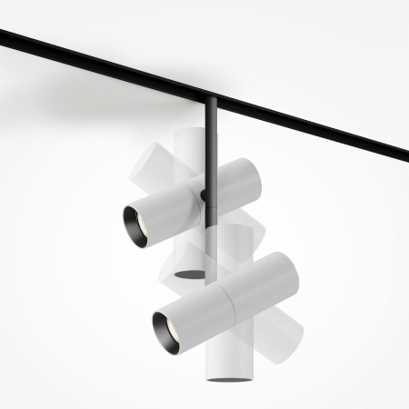 Maytoni TR005-4-2X12W-DS-BW