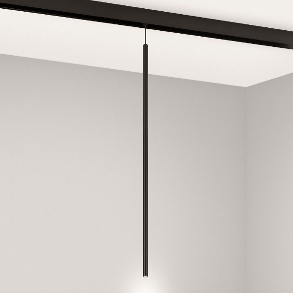 Трековый магнитный светильник Arlight MAG-ORIENT-SPOT-HANG-L600-R12-2W Day4000 (BK, 20 deg, 48V) 044501