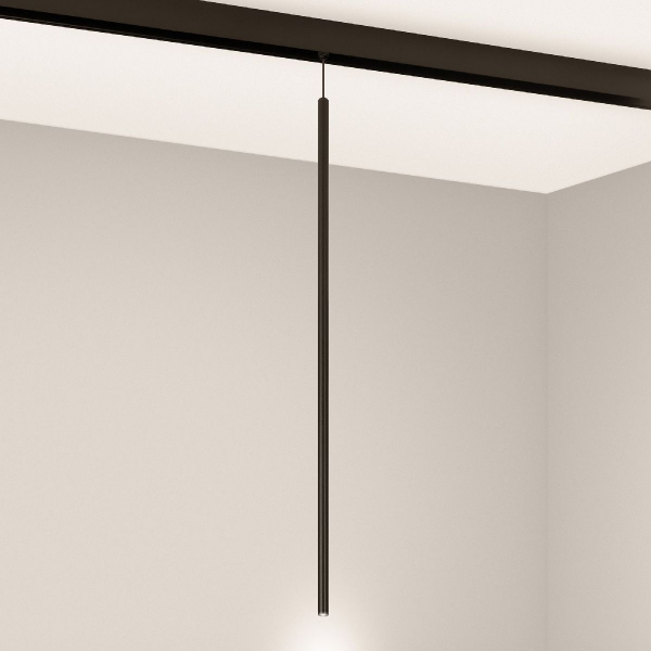 Трековый магнитный светильник Arlight MAG-ORIENT-SPOT-HANG-L600-R12-2W Warm3000 (BK, 20 deg, 48V) 044502