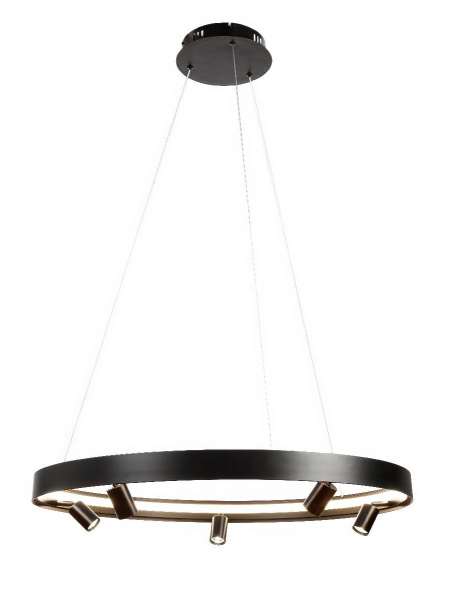 Подвесная люстра Myfar James MR2201-1PL