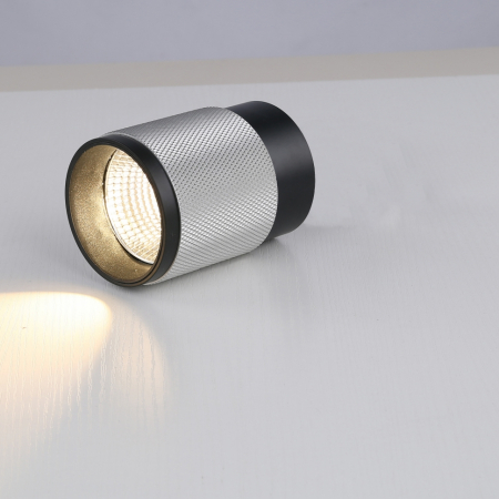 iLedex 1955-10W-3000K-36 BK+SL