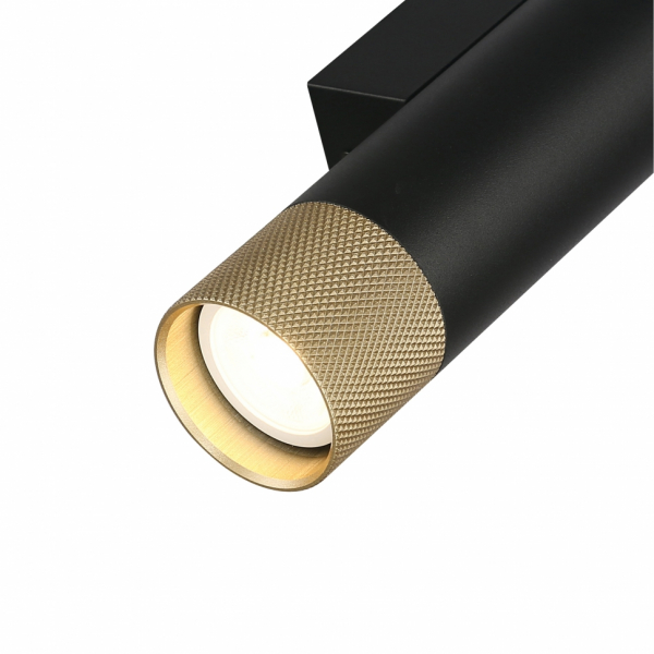 Настенный светильник iLedex Delta 2365-2 BK+BR