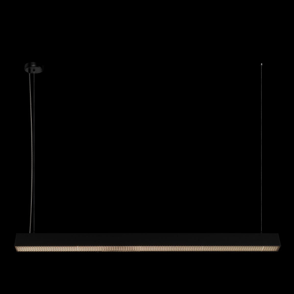 Подвесной светильник Loft IT Vim 10318/C Black