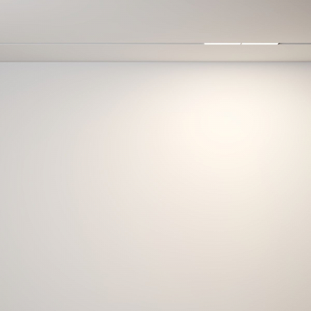 Maytoni TR106-2-12W3K-W