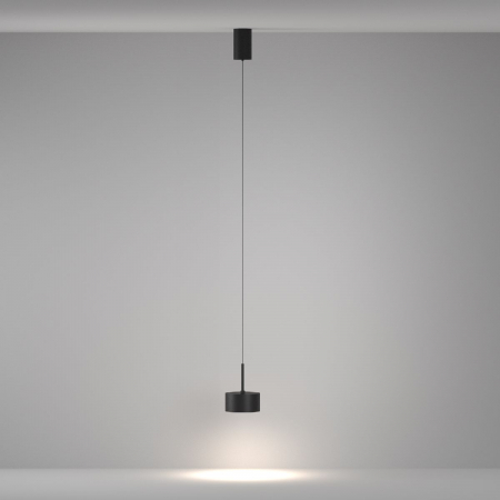 Maytoni P102PL-12W4K-B