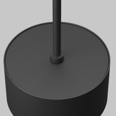 Maytoni P102PL-12W4K-B