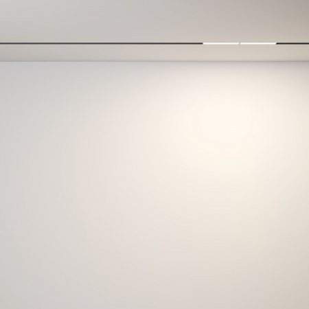 Maytoni TR106-2-12W3K-B