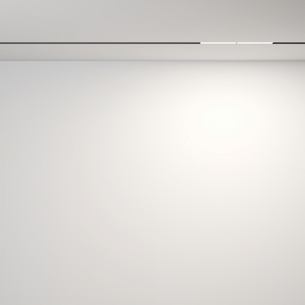 Трековый магнитный светильник Maytoni Technical Magnetic track system Exility Parete TR106-2-12W4K-B