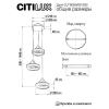 Citilux CL719031