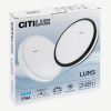 Citilux CL711021V